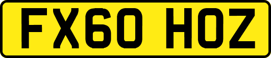 FX60HOZ