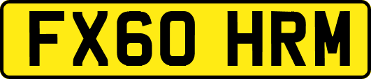 FX60HRM