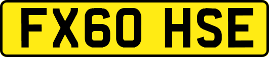 FX60HSE