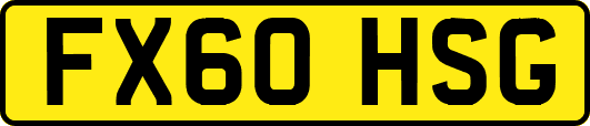 FX60HSG