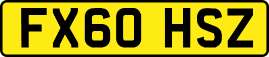 FX60HSZ