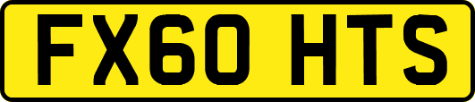 FX60HTS