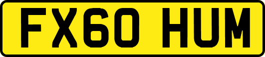 FX60HUM