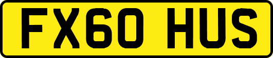 FX60HUS