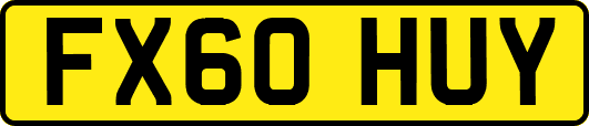 FX60HUY