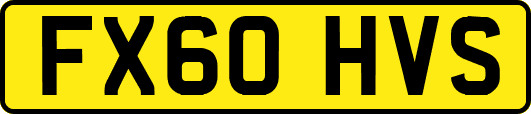 FX60HVS