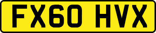 FX60HVX