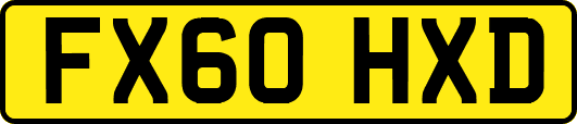FX60HXD
