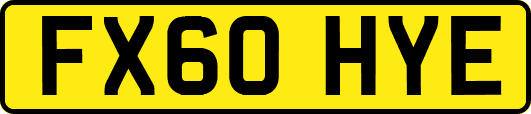 FX60HYE