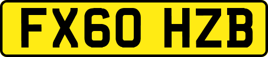 FX60HZB