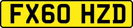 FX60HZD