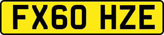 FX60HZE