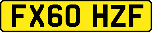 FX60HZF