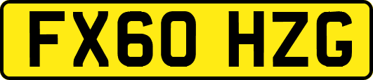 FX60HZG