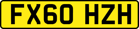 FX60HZH