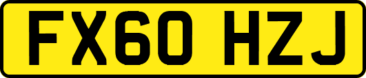 FX60HZJ