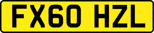 FX60HZL