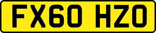 FX60HZO