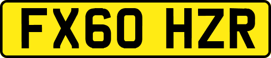 FX60HZR