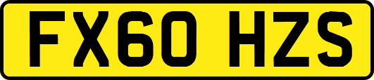 FX60HZS
