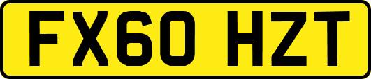 FX60HZT