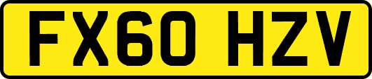 FX60HZV