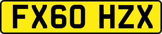 FX60HZX