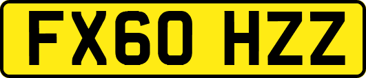 FX60HZZ