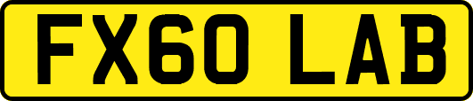 FX60LAB