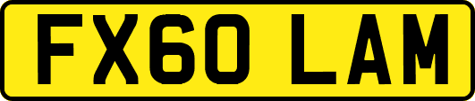 FX60LAM