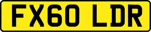 FX60LDR