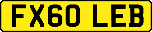 FX60LEB