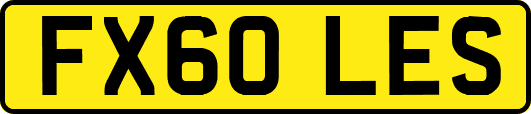 FX60LES