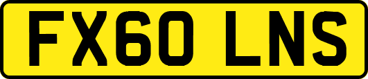 FX60LNS