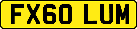 FX60LUM