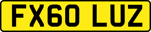 FX60LUZ