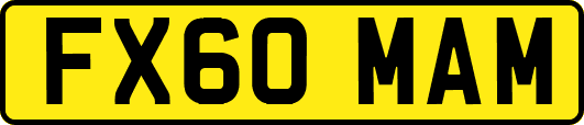FX60MAM