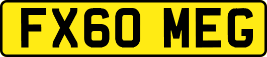 FX60MEG