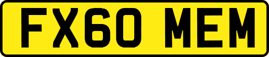 FX60MEM