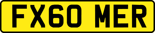FX60MER