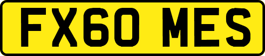 FX60MES