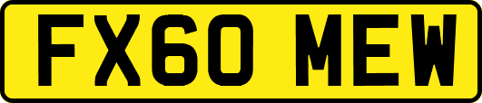FX60MEW