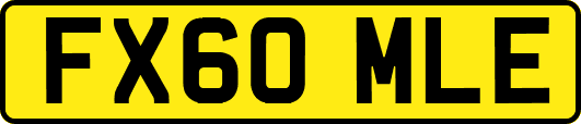 FX60MLE