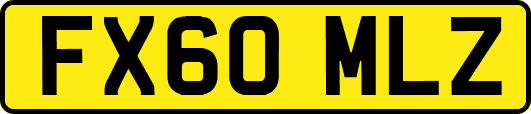 FX60MLZ