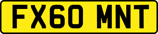 FX60MNT
