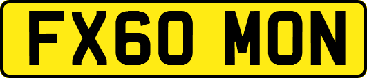 FX60MON