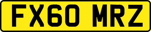 FX60MRZ