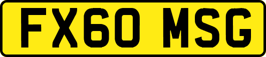 FX60MSG