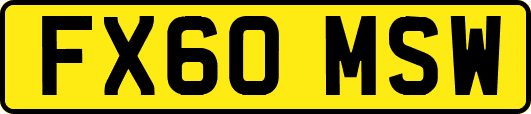 FX60MSW