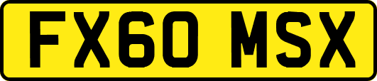 FX60MSX